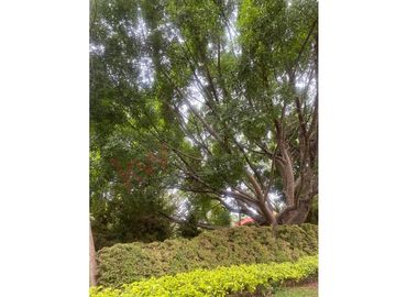Se Vende Terreno en Rancho San Diego Ixtapan de la Sal, Edo Méx.