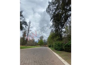 Se Vende Terreno en Rancho San Diego Ixtapan de la Sal, Edo Méx.