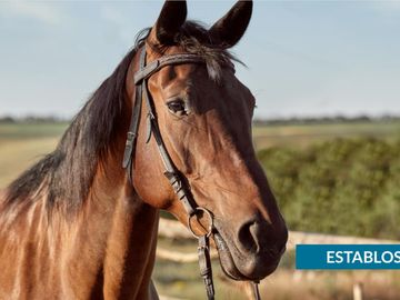 Cabaña de Lujo en Co-propiedad en Tapalpa