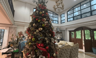 5BR House for Sale in Bel-Air Village, Makati - RS4998182