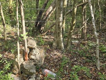 Terreno en Venta, 4 Ha sin construcciones, Valladolid-Temozon, Yuc.