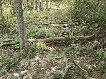 Terreno en Venta, 4 Ha sin construcciones, Valladolid-Temozon, Yuc.