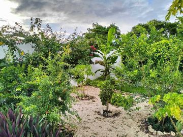 Venta Casa en  Privada Blanca Kikteil Yucatan
