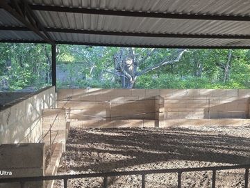 ¡Terreno con Cenote en venta! Valladolid, Yucatán.