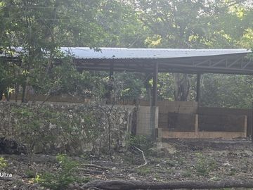 ¡Terreno con Cenote en venta! Valladolid, Yucatán.