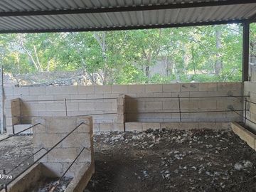 ¡Terreno con Cenote en venta! Valladolid, Yucatán.