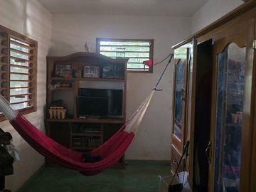 ¡Terreno con Cenote en venta! Valladolid, Yucatán.