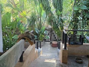 ¡Terreno con Cenote en venta! Valladolid, Yucatán.