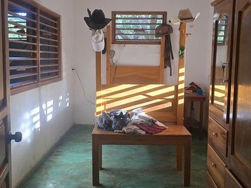 ¡Terreno con Cenote en venta! Valladolid, Yucatán.