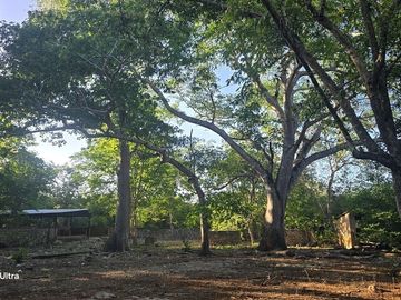 ¡Terreno con Cenote en venta! Valladolid, Yucatán.