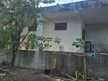 ¡Terreno con Cenote en venta! Valladolid, Yucatán.