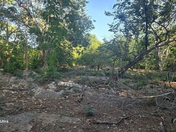 ¡Terreno con Cenote en venta! Valladolid, Yucatán.