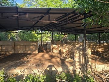 ¡Terreno con Cenote en venta! Valladolid, Yucatán.