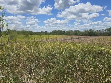 ¡Excelente Rancho en venta! Tizimin, Yucatán.