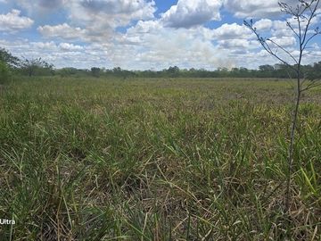 ¡Excelente Rancho en venta! Tizimin, Yucatán.