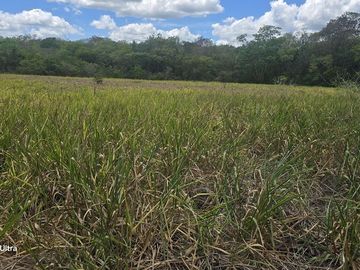 ¡Excelente Rancho en venta! Tizimin, Yucatán.