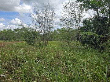 ¡Excelente Rancho en venta! Tizimin, Yucatán.