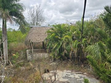 ¡Excelente Rancho en venta! Tizimin, Yucatán.