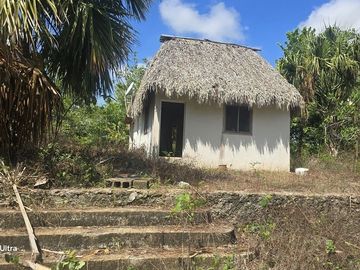 ¡Excelente Rancho en venta! Tizimin, Yucatán.