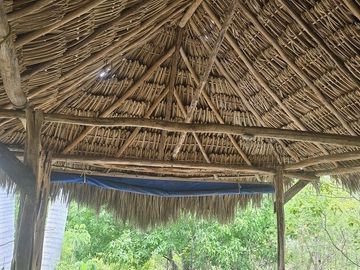 ¡Excelente Rancho en venta! Tizimin, Yucatán.