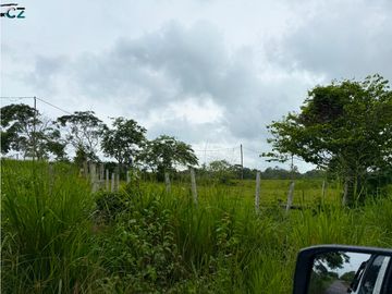 Venta de Finca en la Mendoza La Chorrera