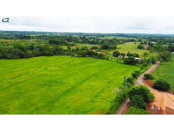 Venta de Finca en la Mendoza La Chorrera