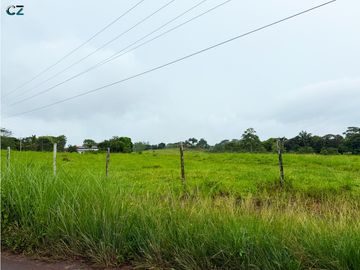 Venta de Finca en la Mendoza La Chorrera