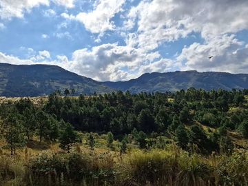 VENTA CASA VILLA ALPINA Y LOTE