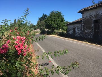 Se vende Campo en Villa Alegre