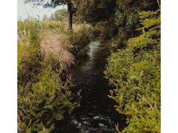 Se vende Campo en Villa Alegre