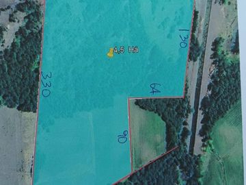 VENTA AGRÍCOLA YUNGAY