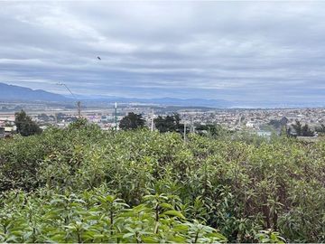 Tu Refugio Costero en Quintero: ¡Atrévete a Vivir!