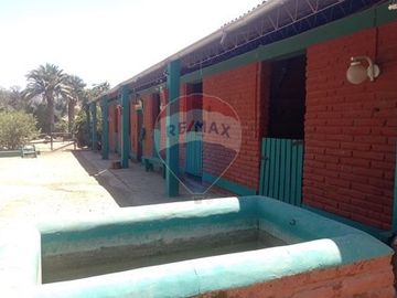 Oasis La Campana Parcela Rebajada