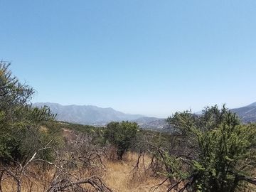 Oasis La Campana Parcela Rebajada