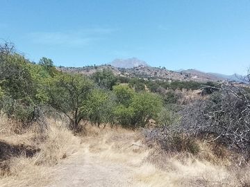 Oasis La Campana Parcela Rebajada