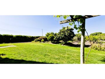 Venta de parcela de 10.000 m2., en venta en San Pedro, Quillota. Árboles y hortalizas en producción.