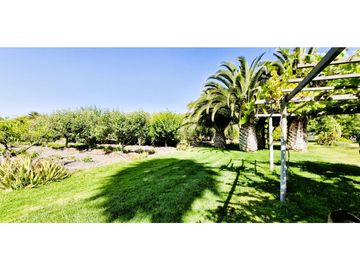 Venta de parcela de 10.000 m2., en venta en San Pedro, Quillota. Árboles y hortalizas en producción.