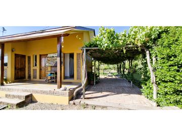Venta de parcela de 10.000 m2., en venta en San Pedro, Quillota. Árboles y hortalizas en producción.