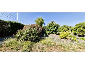 Venta de parcela de 10.000 m2., en venta en San Pedro, Quillota. Árboles y hortalizas en producción.