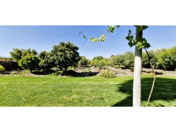 Venta de parcela de 10.000 m2., en venta en San Pedro, Quillota. Árboles y hortalizas en producción.