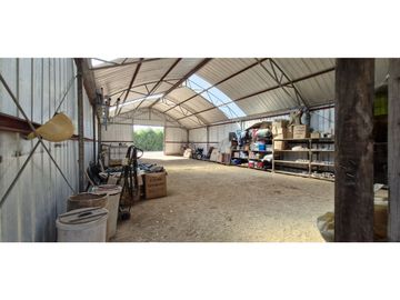 Venta de parcela de 10.000 m2., en venta en San Pedro, Quillota. Árboles y hortalizas en producción.
