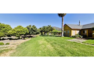 Venta de parcela de 10.000 m2., en venta en San Pedro, Quillota. Árboles y hortalizas en producción.