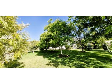 Venta de parcela de 10.000 m2., en venta en San Pedro, Quillota. Árboles y hortalizas en producción.