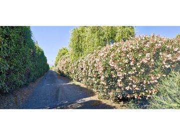 Venta de parcela de 10.000 m2., en venta en San Pedro, Quillota. Árboles y hortalizas en producción.
