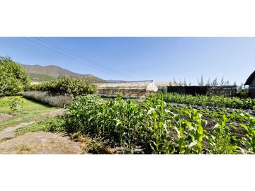 Venta de parcela de 10.000 m2., en venta en San Pedro, Quillota. Árboles y hortalizas en producción.