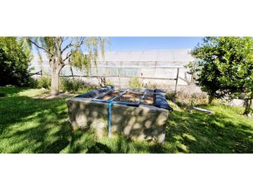 Venta de parcela de 10.000 m2., en venta en San Pedro, Quillota. Árboles y hortalizas en producción.
