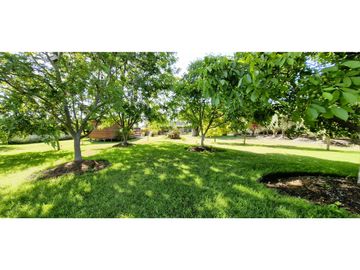 Venta de parcela de 10.000 m2., en venta en San Pedro, Quillota. Árboles y hortalizas en producción.