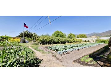 Venta de parcela de 10.000 m2., en venta en San Pedro, Quillota. Árboles y hortalizas en producción.