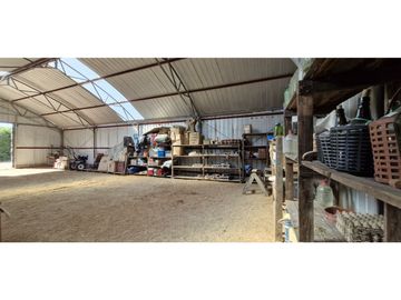 Venta de parcela de 10.000 m2., en venta en San Pedro, Quillota. Árboles y hortalizas en producción.