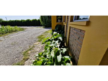 Venta de parcela de 10.000 m2., en venta en San Pedro, Quillota. Árboles y hortalizas en producción.